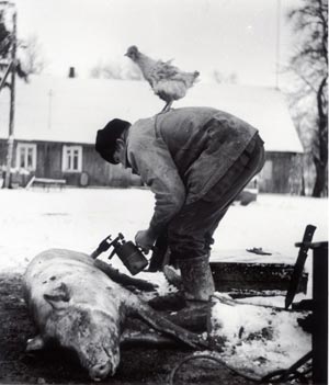 Foto: Viksraitis Artikelbild: "Lithuania/Slaughter" (1982) von Rimaldas Viksraitis. - Foto: Viksraitis