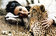Am�sant und ehrlich: Liz Taylor in Zitaten
