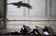 Die H�hepunkte der Salzburger Festspiele 2011
