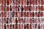 Titelbild