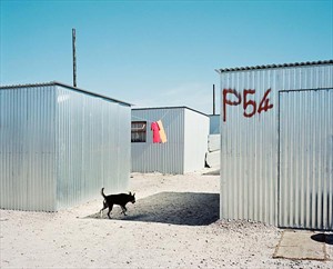 Artikelbild: Auf den Hund gekommen. Laurence Bonvin dokumentiert die neue Township 
"Blikkiesdorp" bei Kapstadt, die anlässlich der Fußball-WM 2010 
errichtet wurde. - Foto: Bonvin