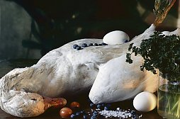 So tot, wie er ist, sieht der Vogel gar nicht aus. So tot, wie er ist, sieht der Vogel gar nicht aus.