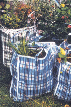  Green Man/ Portable Garden von Lois Weinberger (c) F. Weinberger