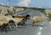 Bilder des Tages Bilder des Tages