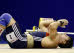 Bilder des Tages